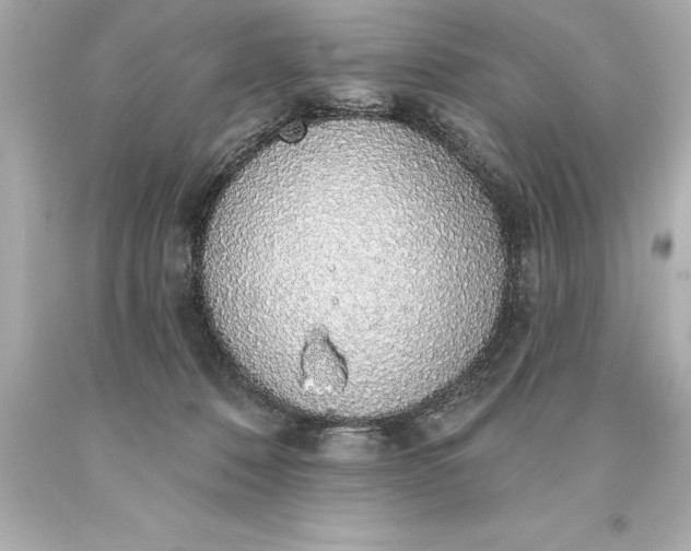 X0000093620320200710291231