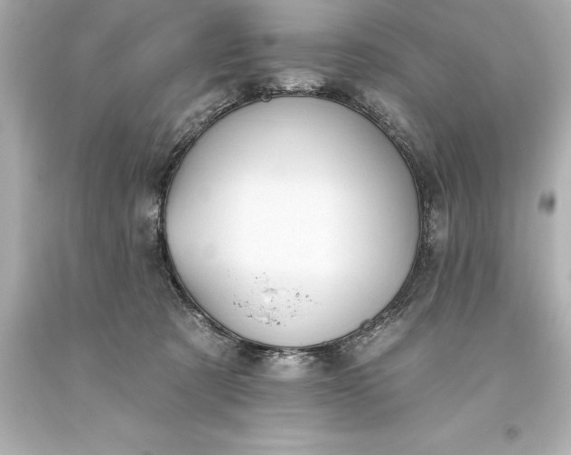 X0000093620321200710291231