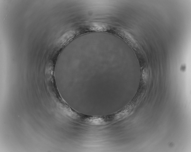 X0000093620322200710291231