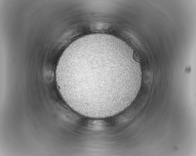 X0000093620324200710291231