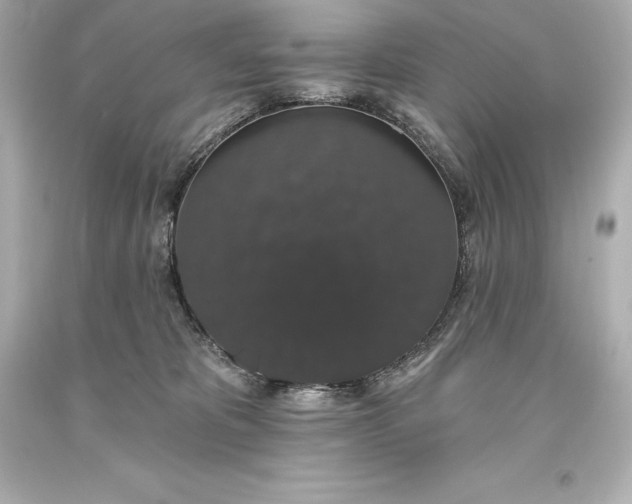 X0000093620325200710291231
