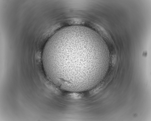 X0000093620326200710291231