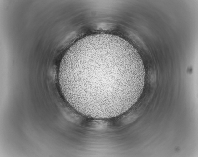 X0000093620328200710291231