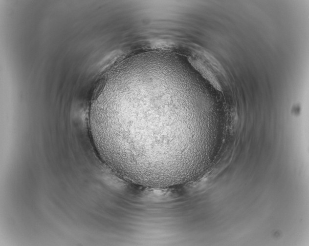 X0000093620329200710291231