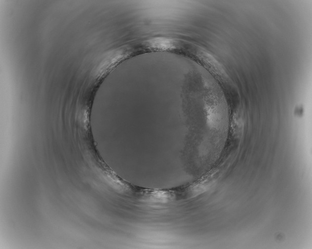 X0000093620330200710291231