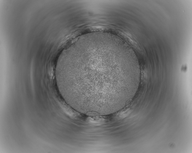 X0000093620331200710291231