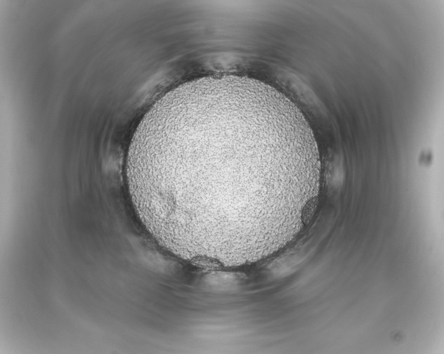 X0000093620332200710291231