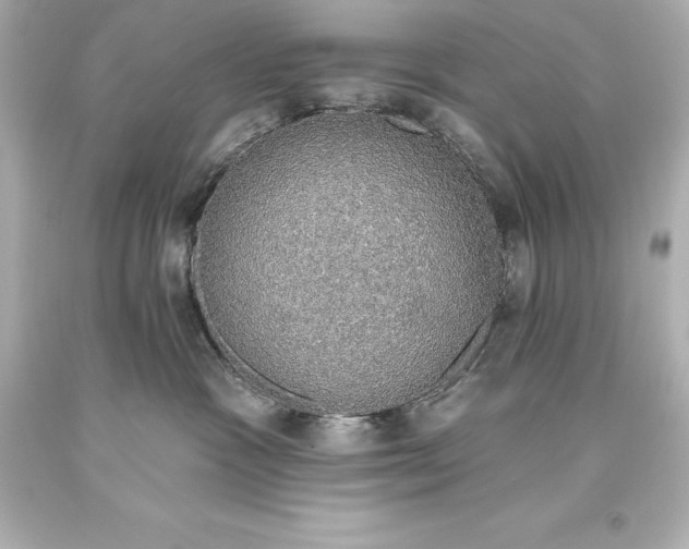 X0000093620333200710291231