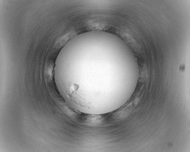X0000093620334200710291231