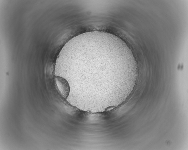 X0000093620336200710291231