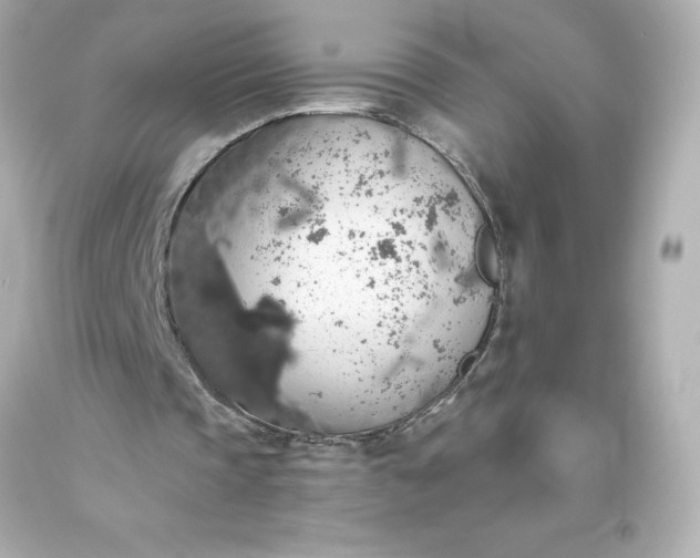 X0000093620337200710291230