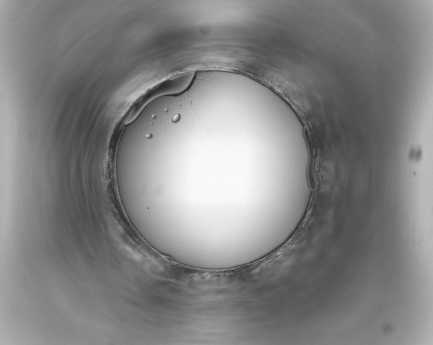 X0000093620338200710291230