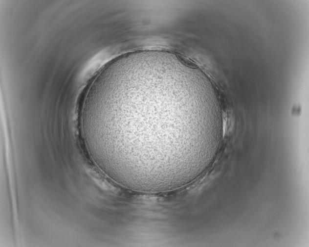 X0000093620339200710291230