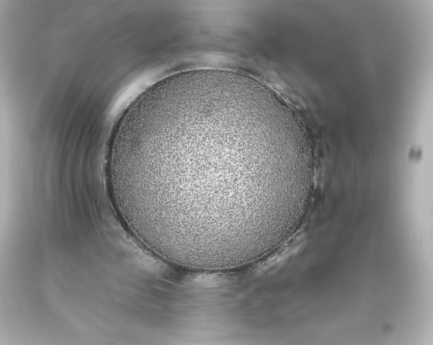 X0000093620341200710291230