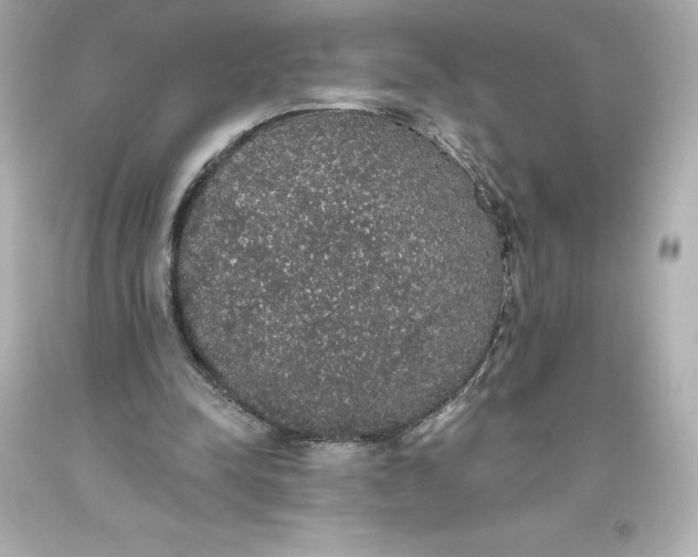 X0000093620342200710291230