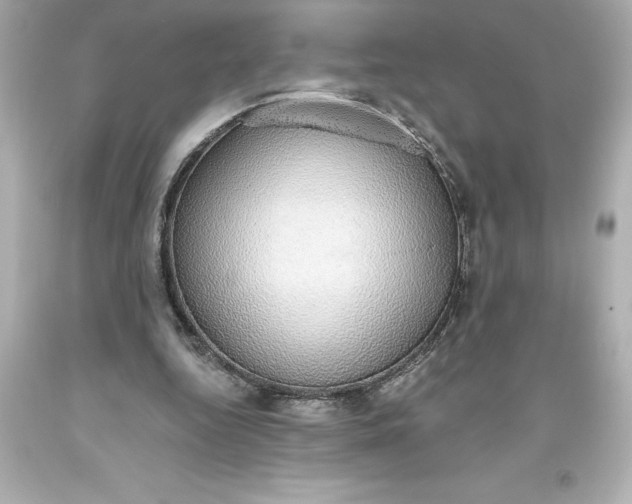 X0000093620344200710291230