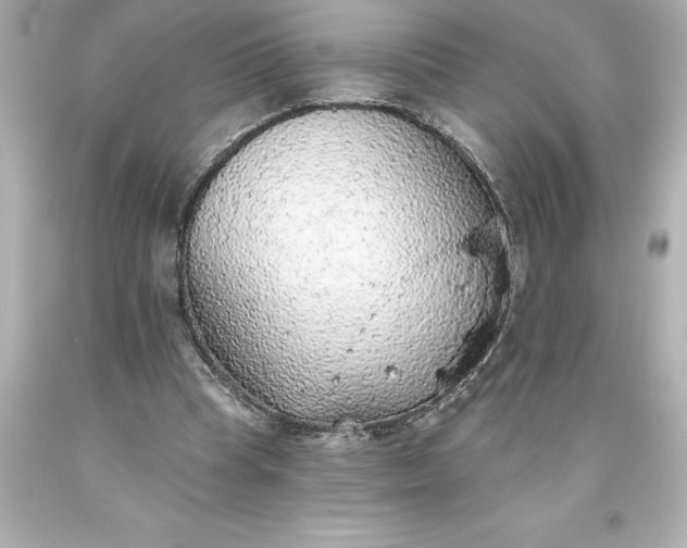 X0000093620345200710291230