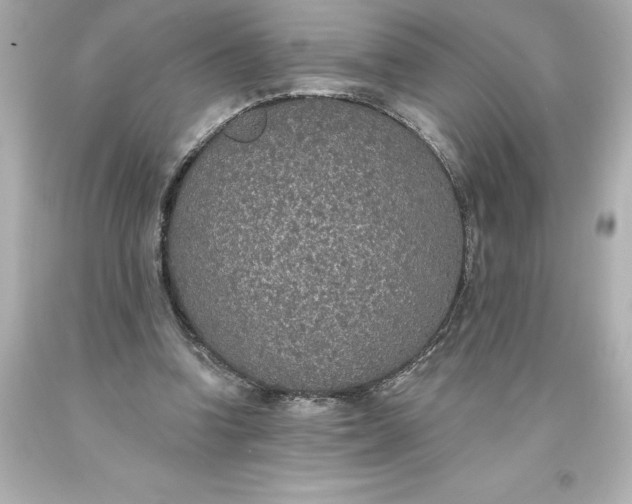X0000093620346200710291230