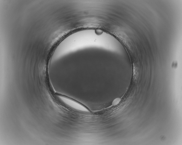 X0000093620348200710291230