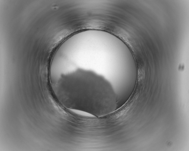 X0000093620349200710291230