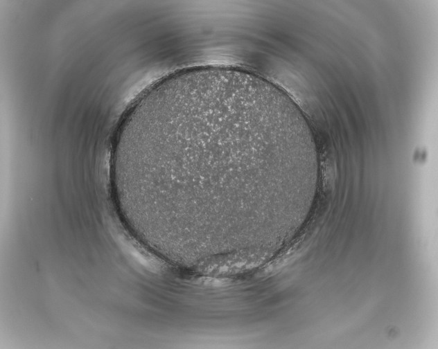 X0000093620350200710291230