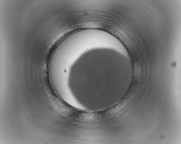X0000093620351200710291230