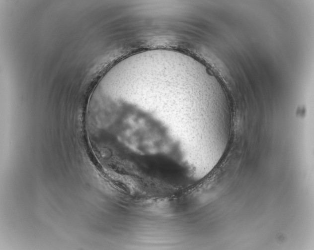 X0000093620353200710291231