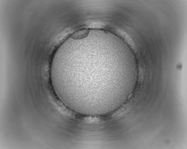 X0000093620354200710291231