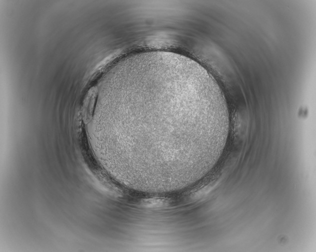 X0000093620356200710291231