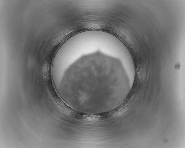 X0000093620359200710291231