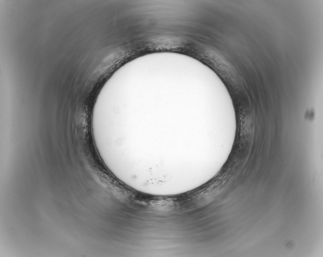 X0000093620362200710291231