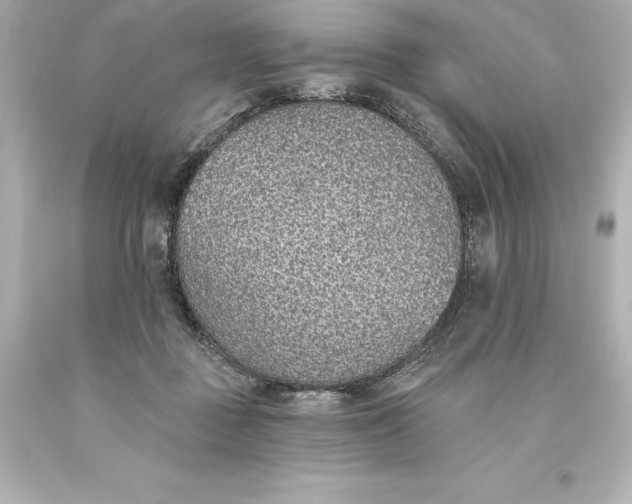 X0000093620363200710291231