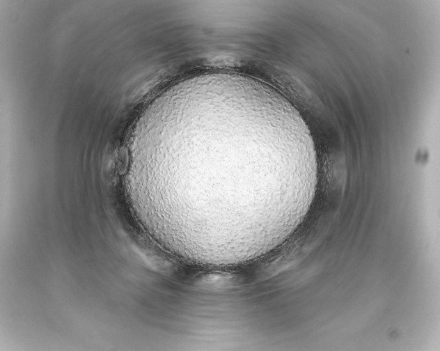 X0000093620364200710291231
