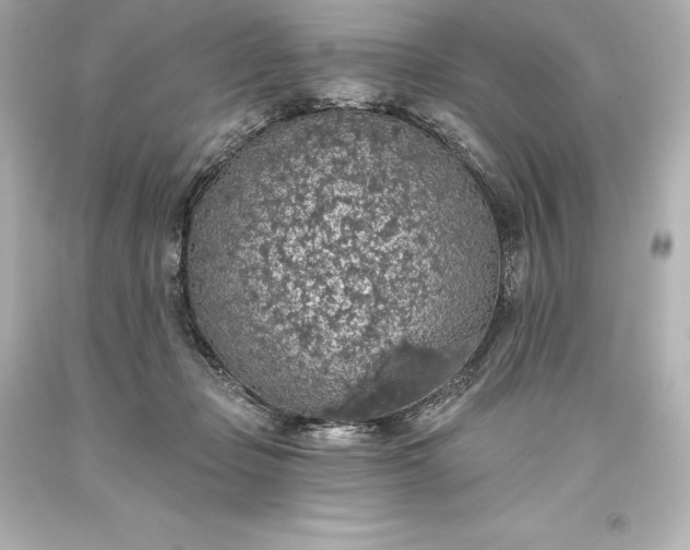 X0000093620365200710291231
