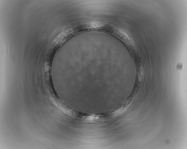 X0000093620366200710291231