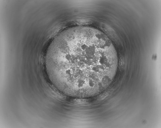 X0000093620367200710291231