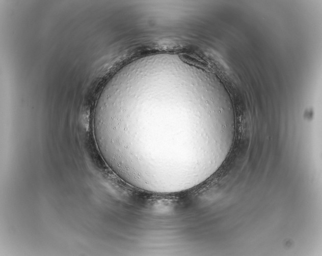 X0000093620368200710291231