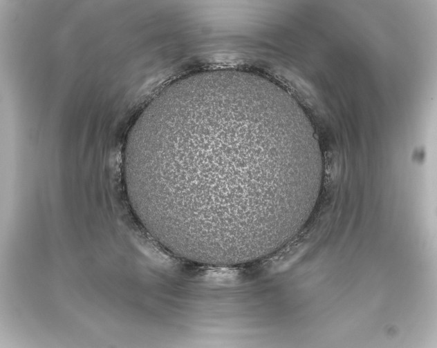 X0000093620369200710291231