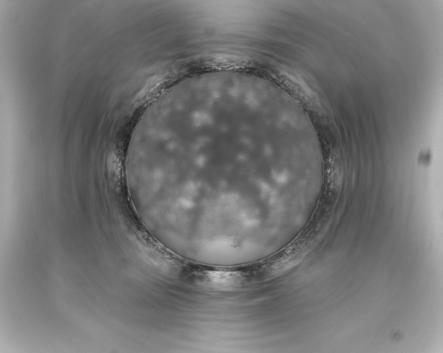 X0000093620371200710291231