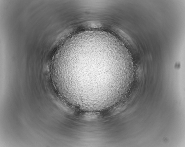 X0000093620373200710291231