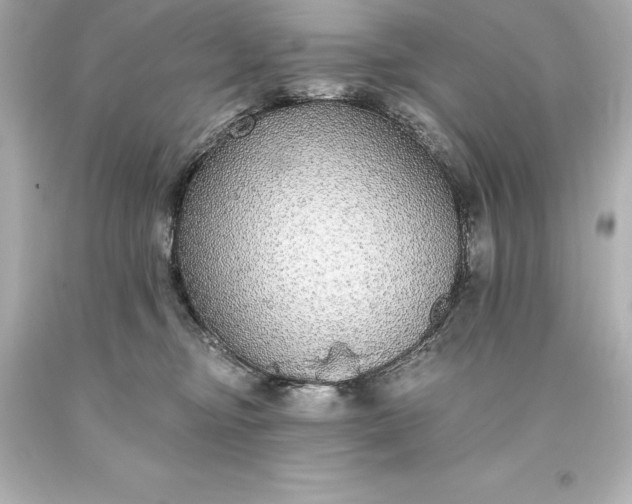 X0000093620374200710291231