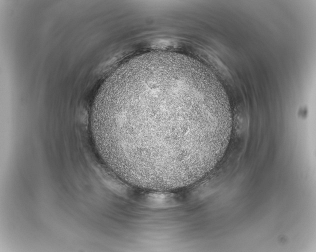 X0000093620375200710291231