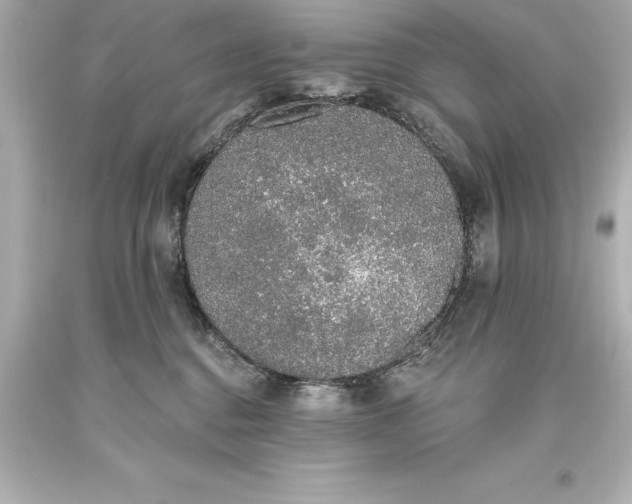 X0000093620376200710291231