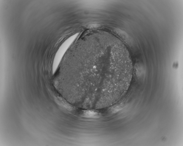 X0000093620380200710291231