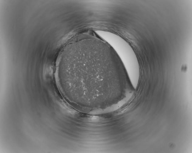 X0000093620382200710291231