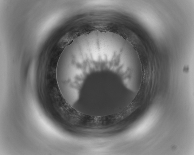 X0000093620383200710291231