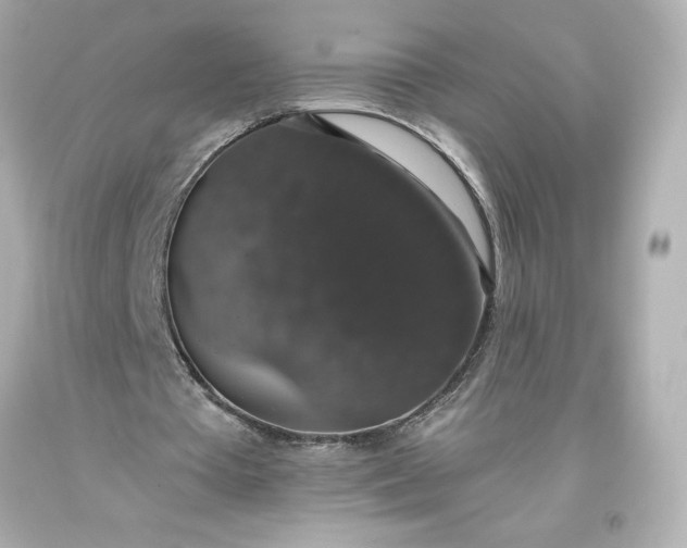 X0000093620385200710291230
