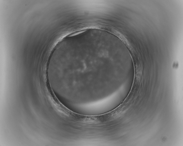X0000093620386200710291230