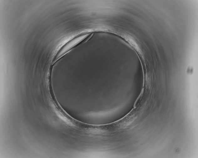 X0000093620389200710291230