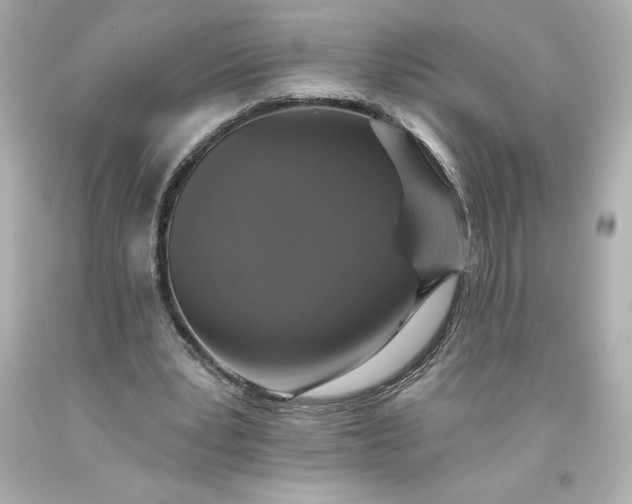 X0000093620391200710291230